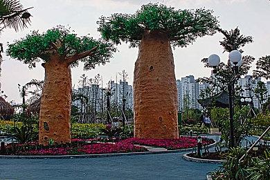 宝可梦2023世界锦标赛将在日本横滨举办 为赛事首次